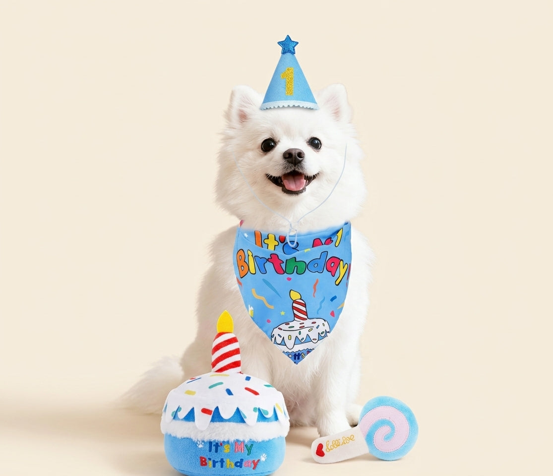 Dog Birthday Gift