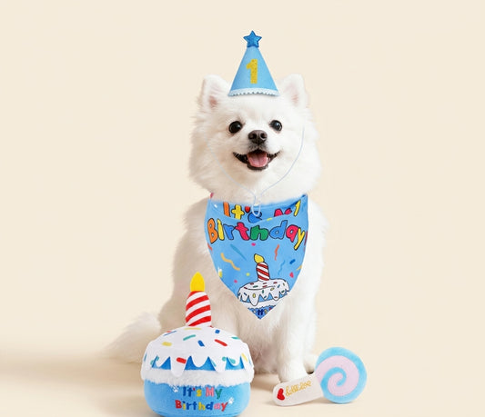 Dog Birthday Gift