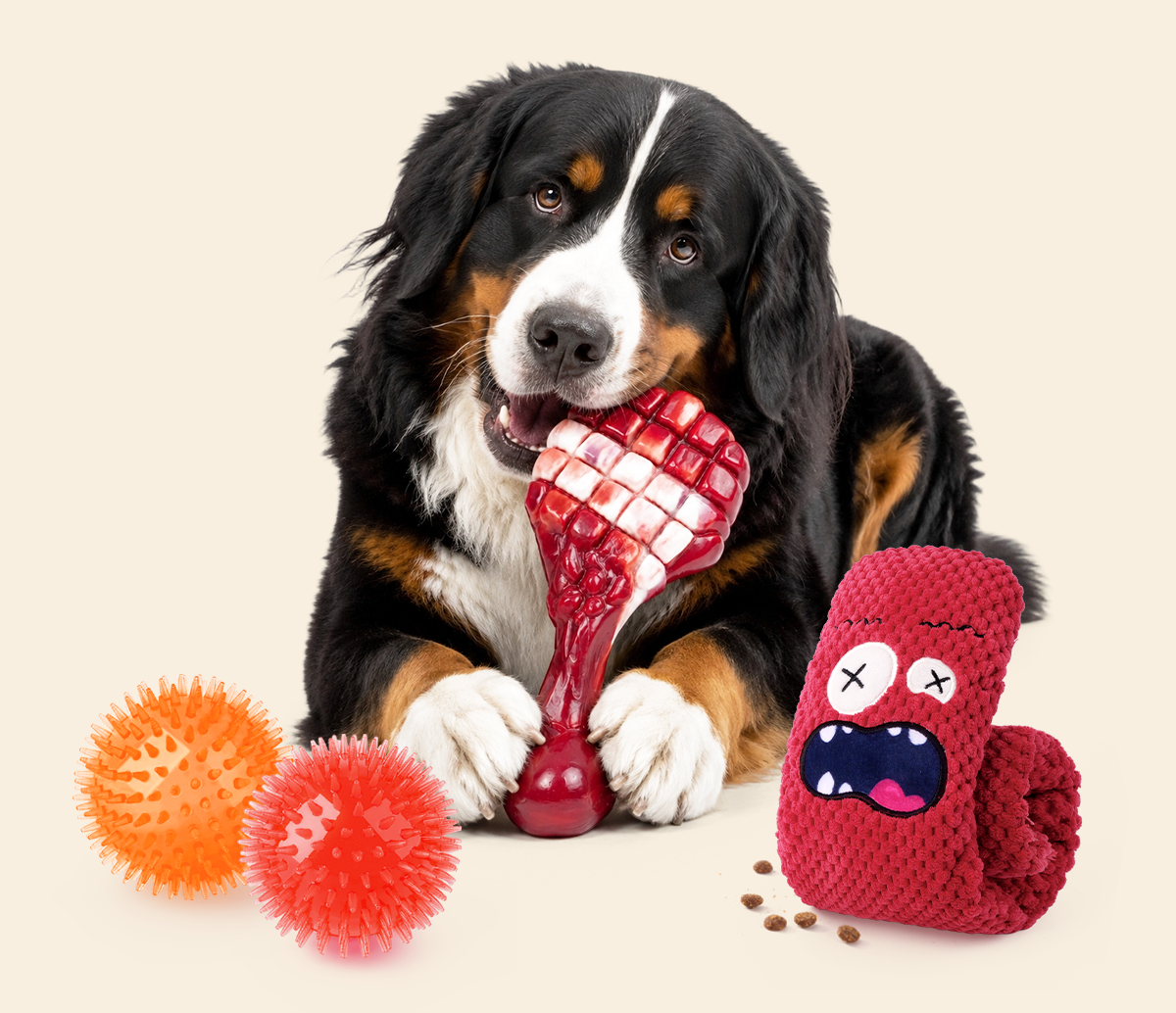 Tough Chew Variety Set