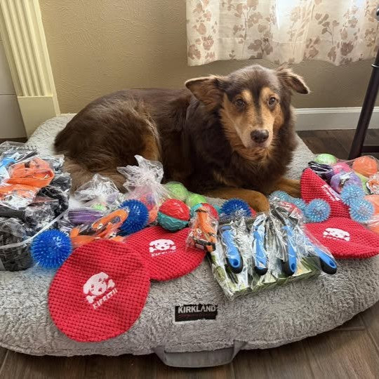 Donation photo from ThisIsHouston