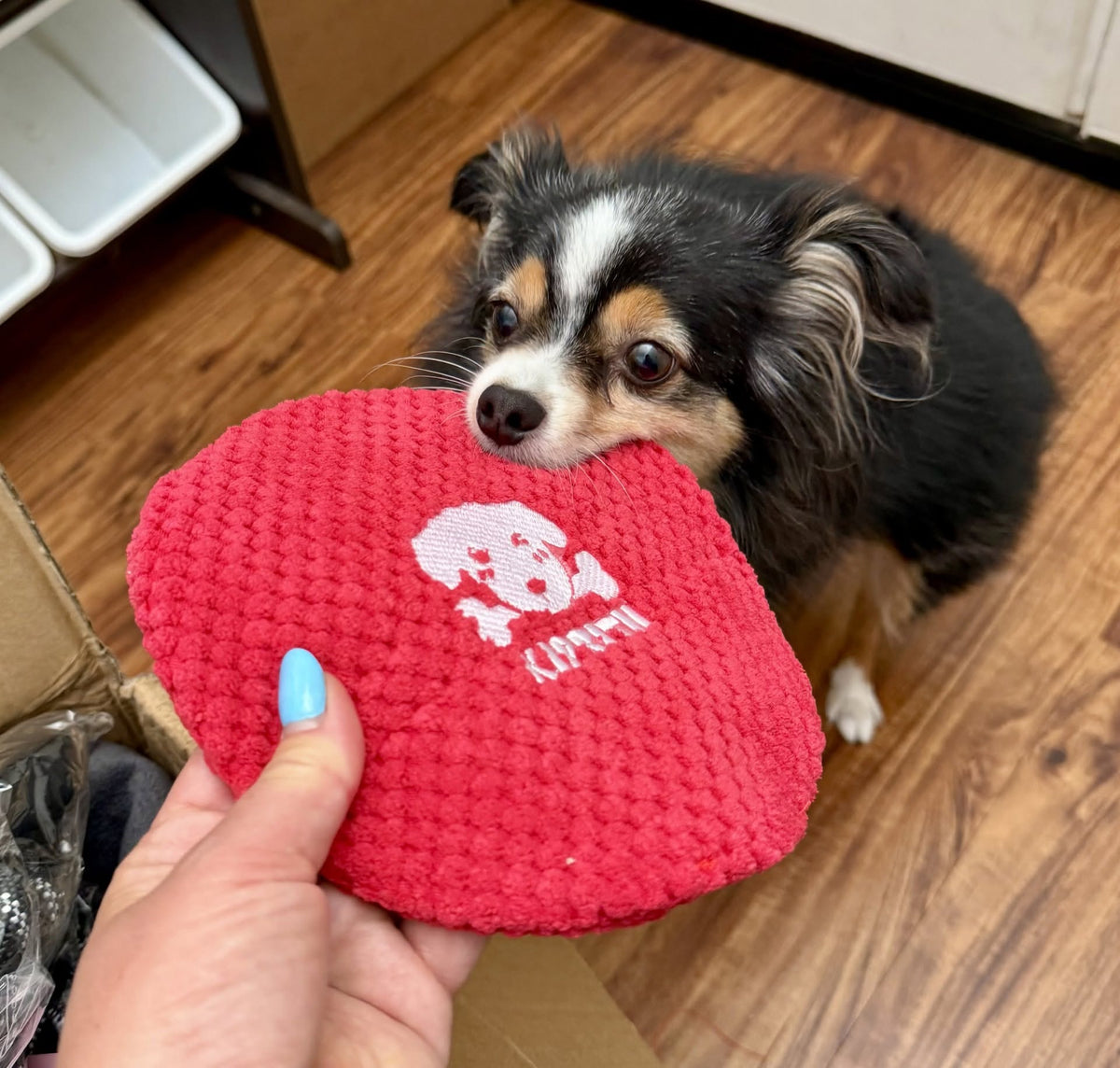 Donation photo from Pups & Pals